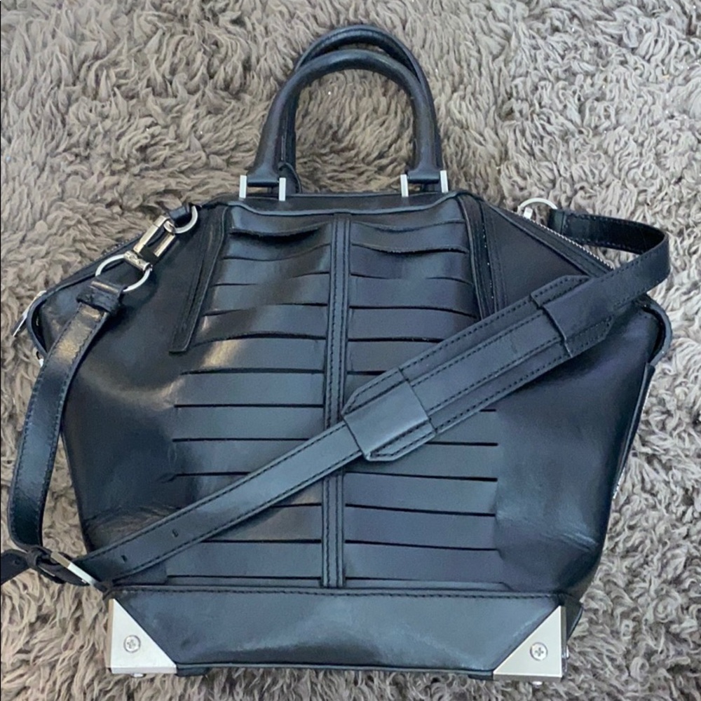 Alexander Wang Emile limited edition bag